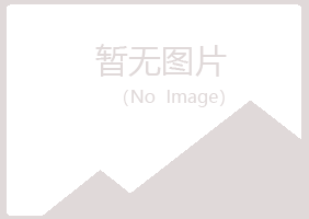 河池寒珊化学有限公司